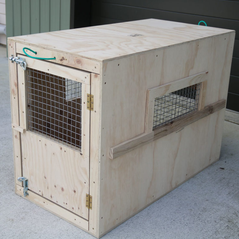 International Pet Transport Animal Travel Agency For The Vital Details